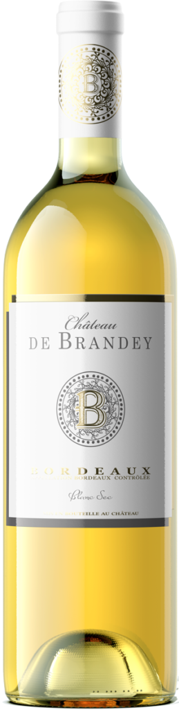 Chateau de brandey vin blanc - saint emilion grand cru